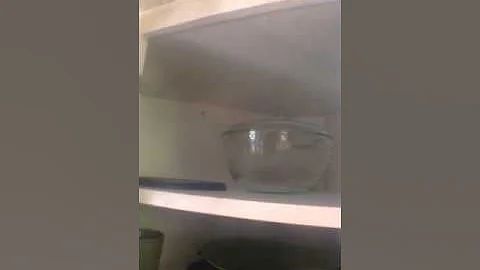 1145 lake shore drive #205 Move out inspection