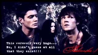 Damon/Stefan/Elena/Sam/Dean-Another history(Vampire Diares,Supernatural,Twilight)