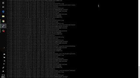 Mina Testworld Mini Vlog-Mina Community