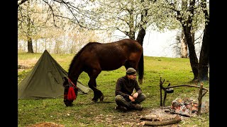 Bushcraft Solo Overnight : Horse riding in the forest  Canvas Lavvu Shelter  Wild Cooking ( 2021 )