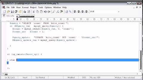 Creating a Database Hit Counter Part 4 Tutorial in PHP - MYSQL by For Student Organization