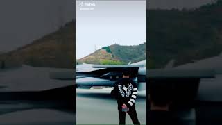 bird airplane flying