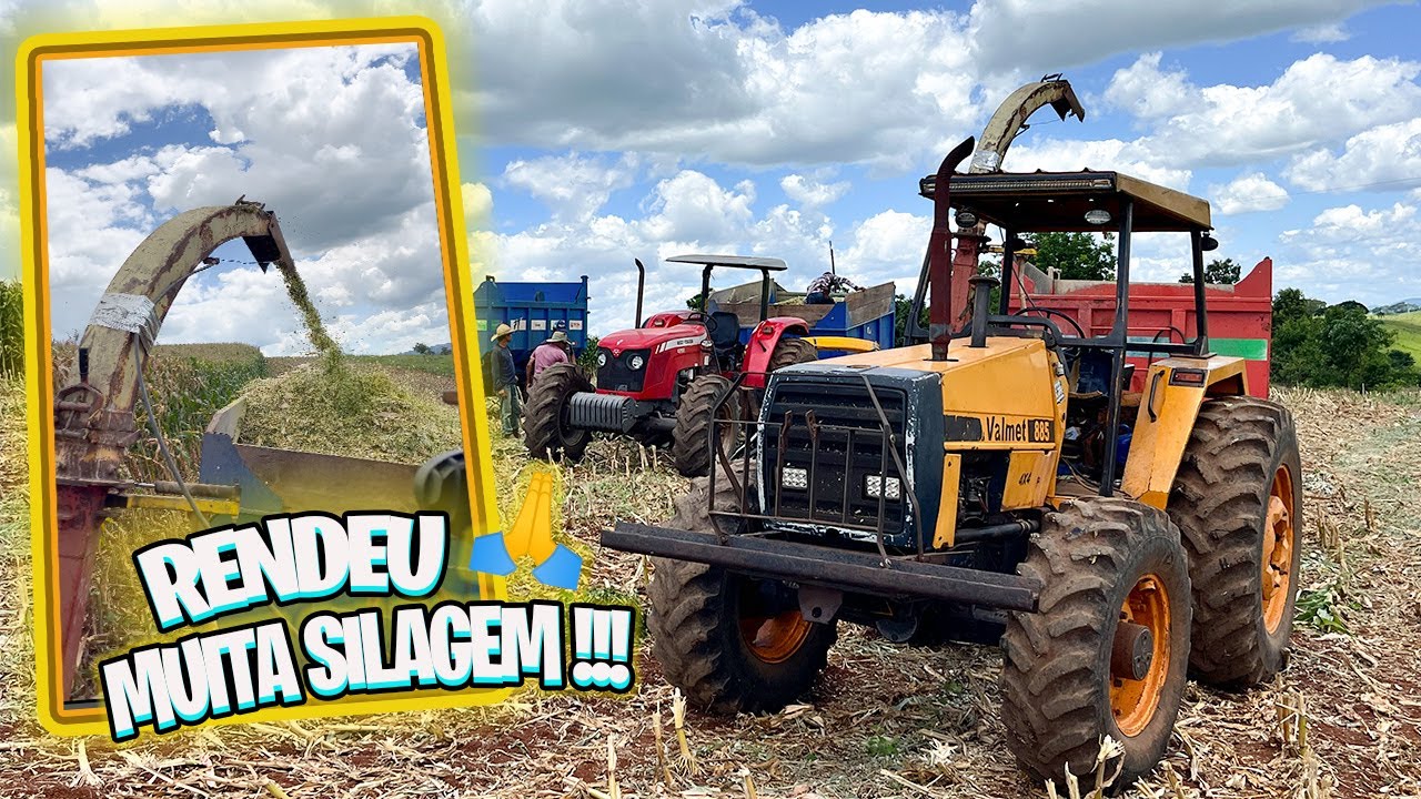 CORTANDO A MELHOR SILAGEM DEPOIS DE ANOS!!! VALMET 885 NA PRESSÃO COM A NOGUEIRA 🌽🚜