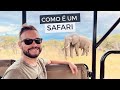 Como  fazer um safari na frica do sul  kruger park