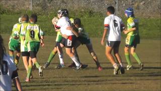 roosters destroy helensvale