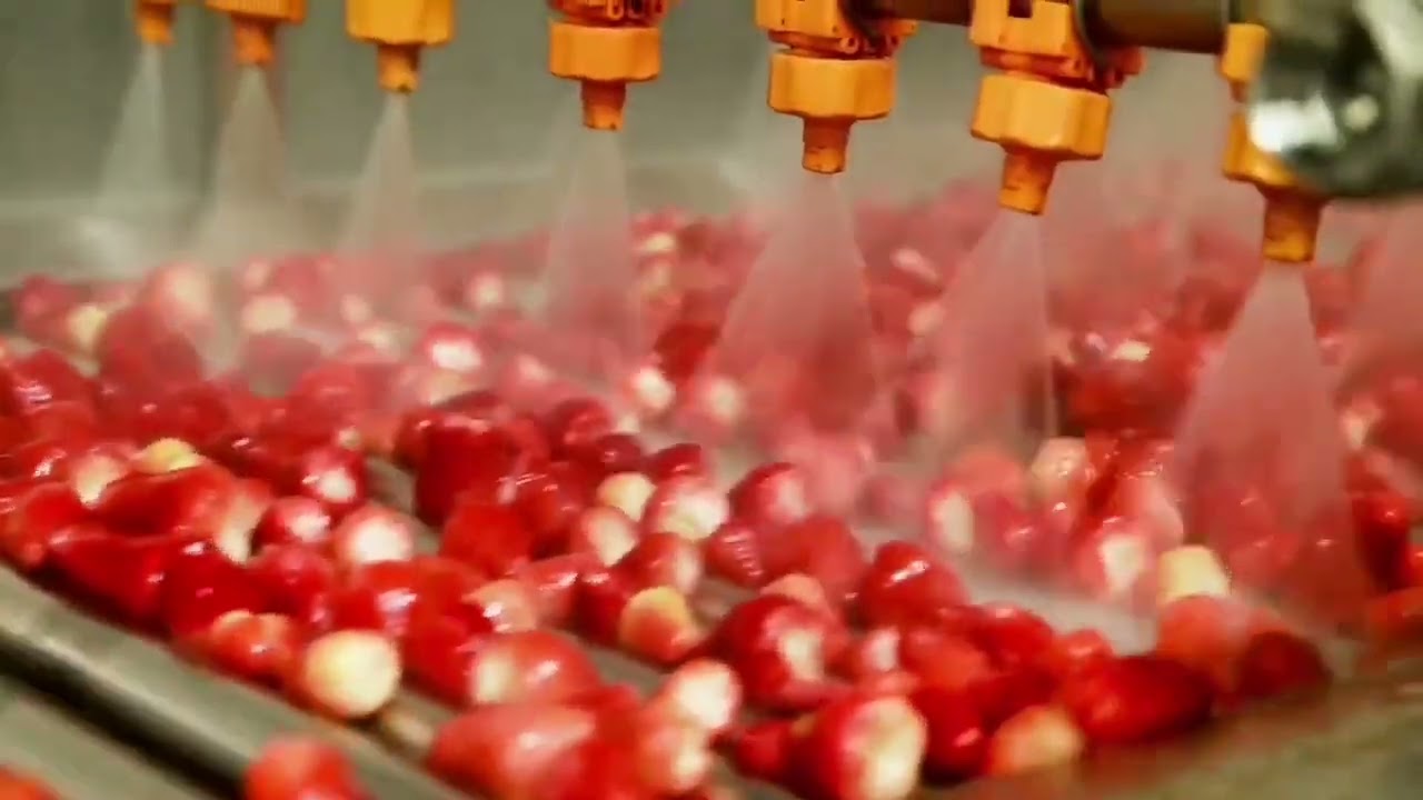 Stawberry freezing processing line,full automatic frozen fruits produciton machinery line.