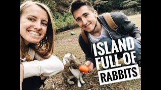 RABBIT ISLAND. Okunoshima in Japan