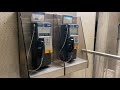 Nearly 2 000 Bell Payphones Still Exist In Montreal