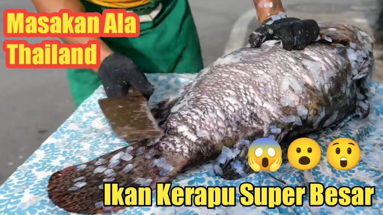 Ikan Kerapu Goreng Super Besar