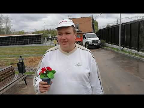 Дефективная Радоница