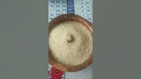 One mukhi Nepali Rudraksha Mob. - 9905207417