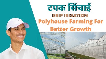 Polyhouse Structure And The Polyhouse Crops Management #farmer #sonoffarmer #netafim #drip