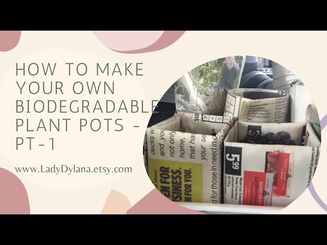 How to make your own biodegradable plant pots - Part 1