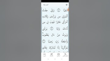 سورة مريم بالتجويد المبسط الصفحة (٣٠٥)