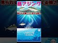 【昼アジング】エサ取りという壁 一気に底を取る