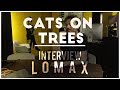 Capture de la vidéo Cats On Trees - Interview Lomax