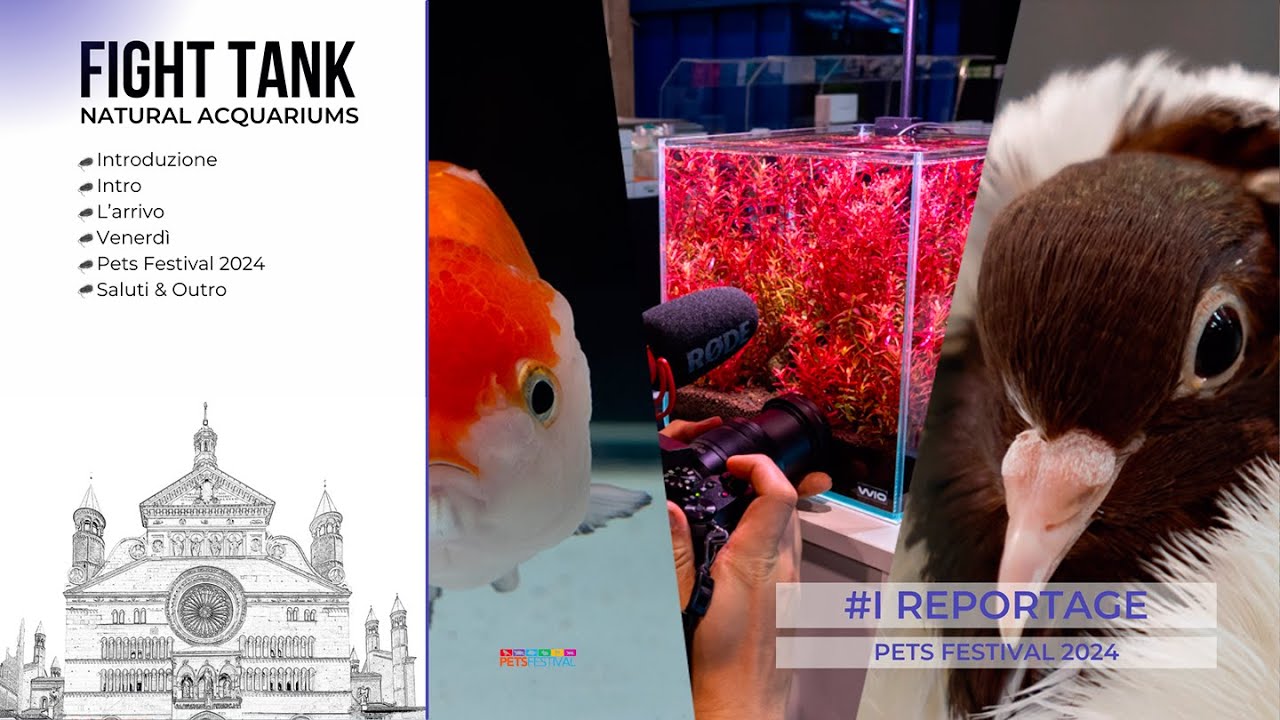 Dietro le Quinte del Pets Festival 2024: Acquari, Stand e Passione!