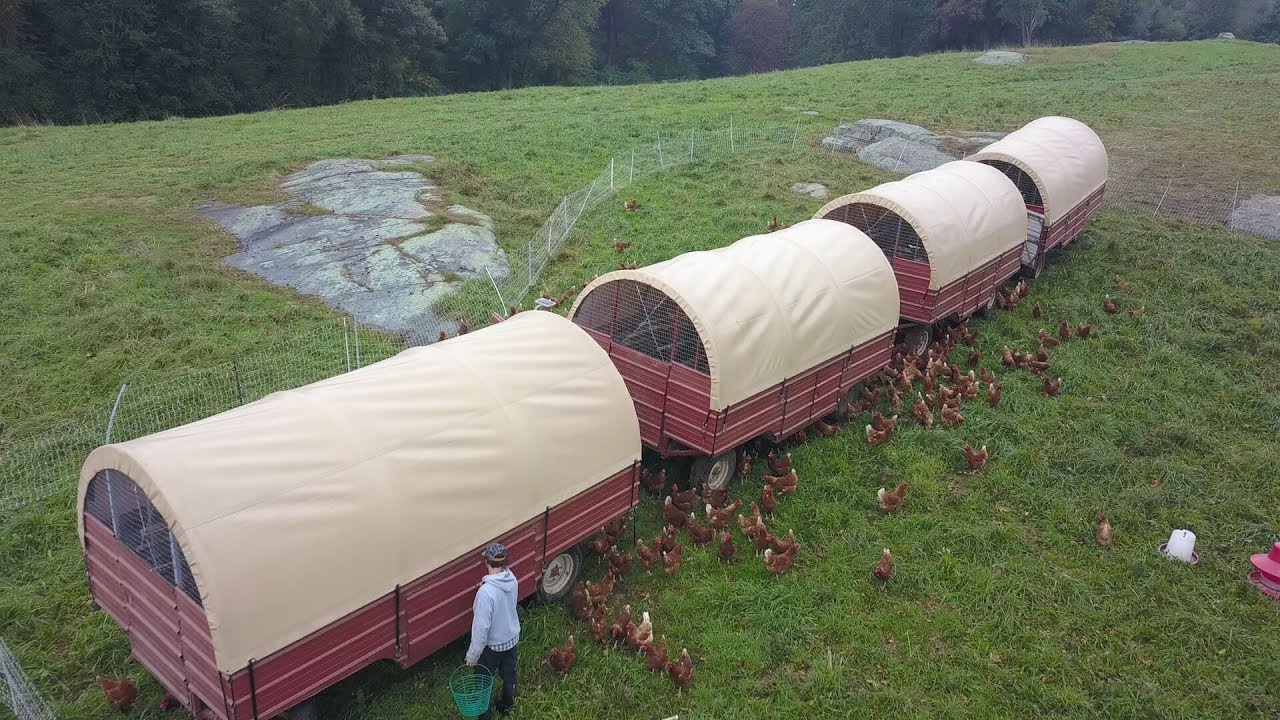 Our Mobile Chicken Coop Tractor - Artful Homemaking