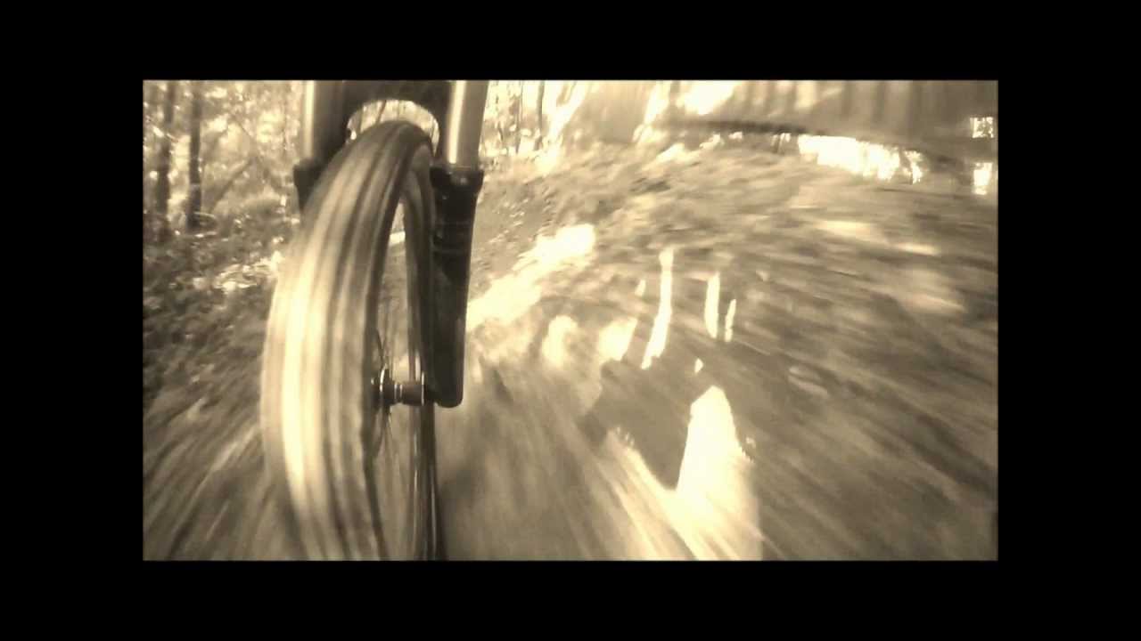 Wheel's travel GIANT Reign 1