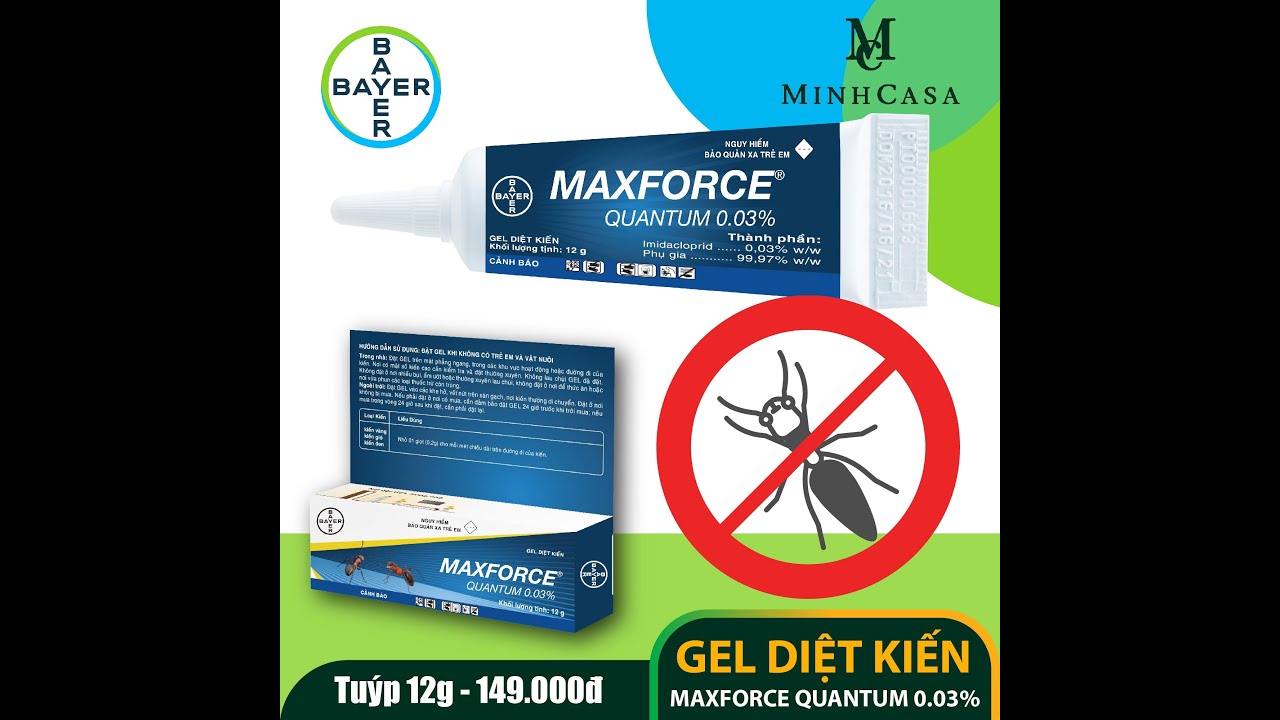 Thực tế sử dụng Bayer Maxforce Quantum 12gr