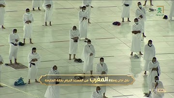 صلاة المغرب ٢٩ شعبان ١٤٤٢هـ | ما تيسر من سورة فصلت.