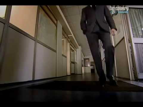 მილიარდერები ფულის შესახებ. მოტივატირი ( IB Program )