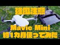 【使用レビュー】Mavic Miniを約1カ月使ってみた感想