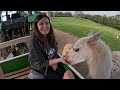 World Of Country Life Devon VLOG