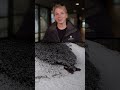 #DCPandas: Prepping for Pandas: Panda Connection