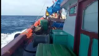 Pelaut⚓ yang handal tidak tercipta dari ombak yang tenang🌊KM.FIKRI03🛳