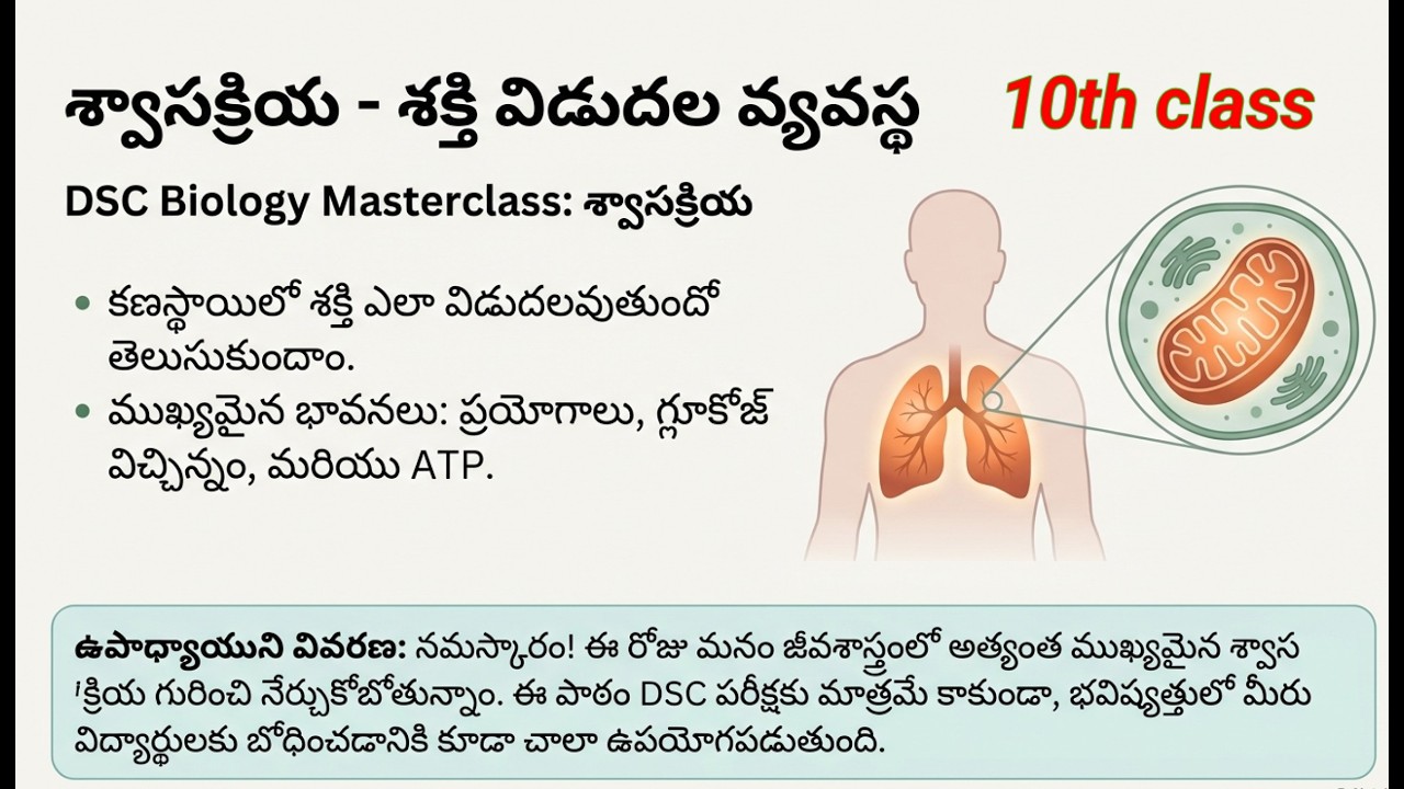 10వ తరగతి సైన్స్ – శ్వాస క్రియ (Swasa Kriya / Respiration) 🫁