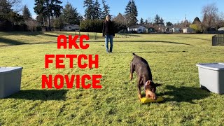 AKC Fetch Novice TFN  Explained and Demonstrated