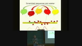 WLT 2019: Upinder Bhalla - Chemical learning logic in biological neural networks. (Part 2)