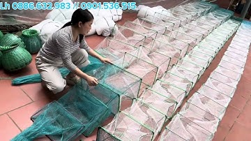 LÚ 12 CỬA NGỤC. LỒNG BÁT QUÁI BẮT CÁ TÔM CUA🦀🦐