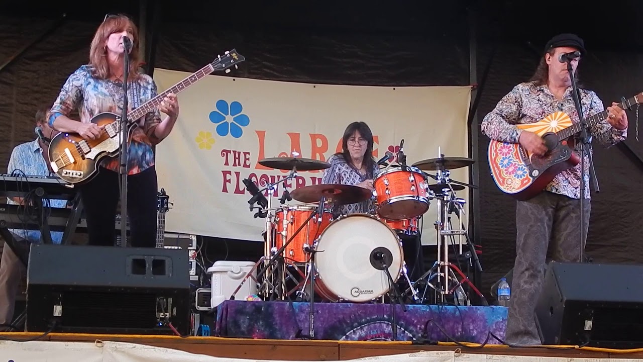 Large Flowerheads (Sunny Afternoon) Walnutport Carnival July 12