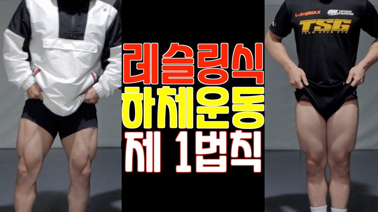 레슬링식 하체운동 제 1법칙-(부제: 아다만티움 하체 만들기)