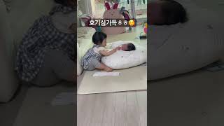 아기가 신기한 아가😘👶💕 #shorts #아기 #동생이 태어났어요👶 #흑호랑이와청룡