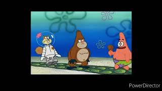 Gorilla Patrick Twerking In Front Of Sandy
