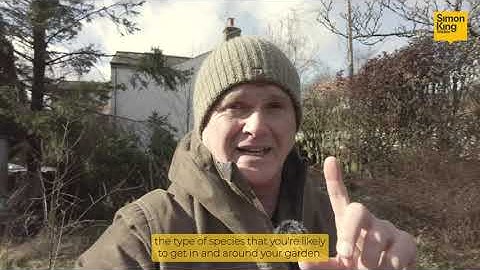 How close can nest boxes be?