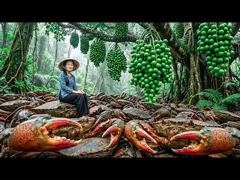Harvesting Giant Wild Fruits and Catching Wild Crabs, Then Selling at Market | Rural Life