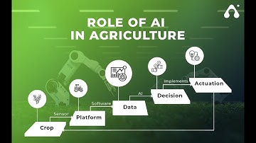 AI Technology in Agriculture || Role of AI in Agriculture