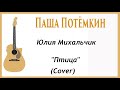 Юлия Михальчик "Птица" . кавер. На гитаре.