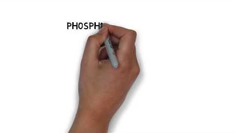 Mass FLow Measurement Of Oil Section Pune www.mmflo.com Part 16