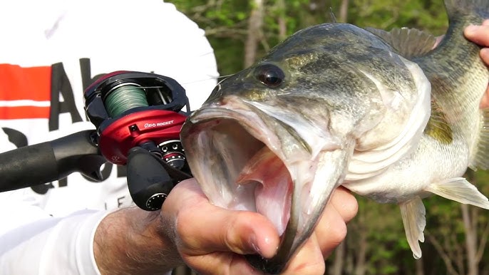 Abu Garcia Revo Winch low profile: detailed review 