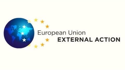 The European External Action Service - The First Years