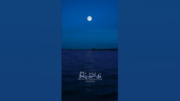 تلاوة هادئة للقارئ اسلام صبحي قرآن كريم 🖤