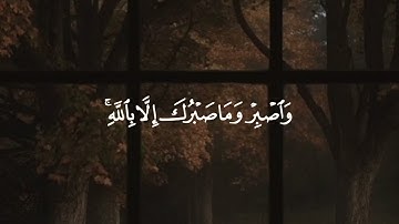 وَلَئِنْ صَبَرْتُمْ لَهُوَ خَيْرٌ لِلصَّابِرِينَ🌷 #سورة_النحل #سعد_الغامدي