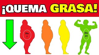 Cómo Perder Peso? La Mejor Manera De Quemar Grasa