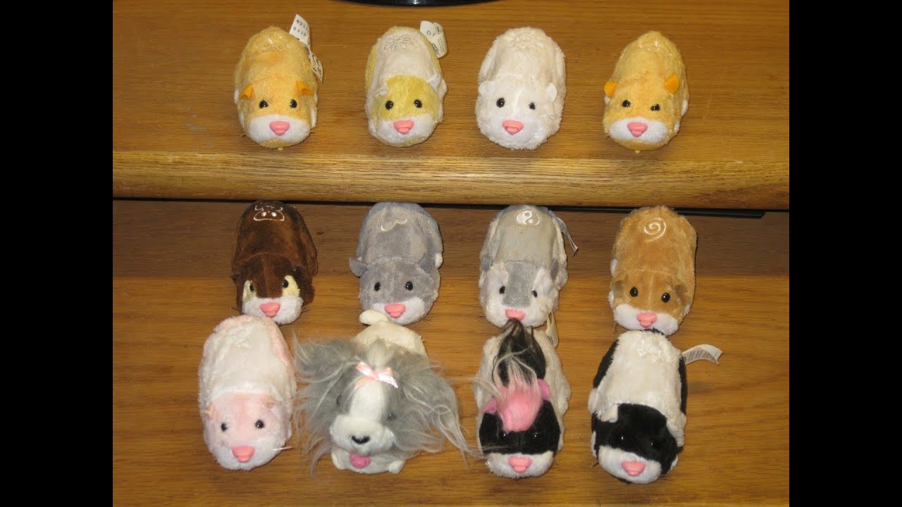 Zhu Zhu Pet 5