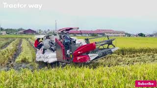 Modern Technology Agriculture | Amazing Rice Harvester.